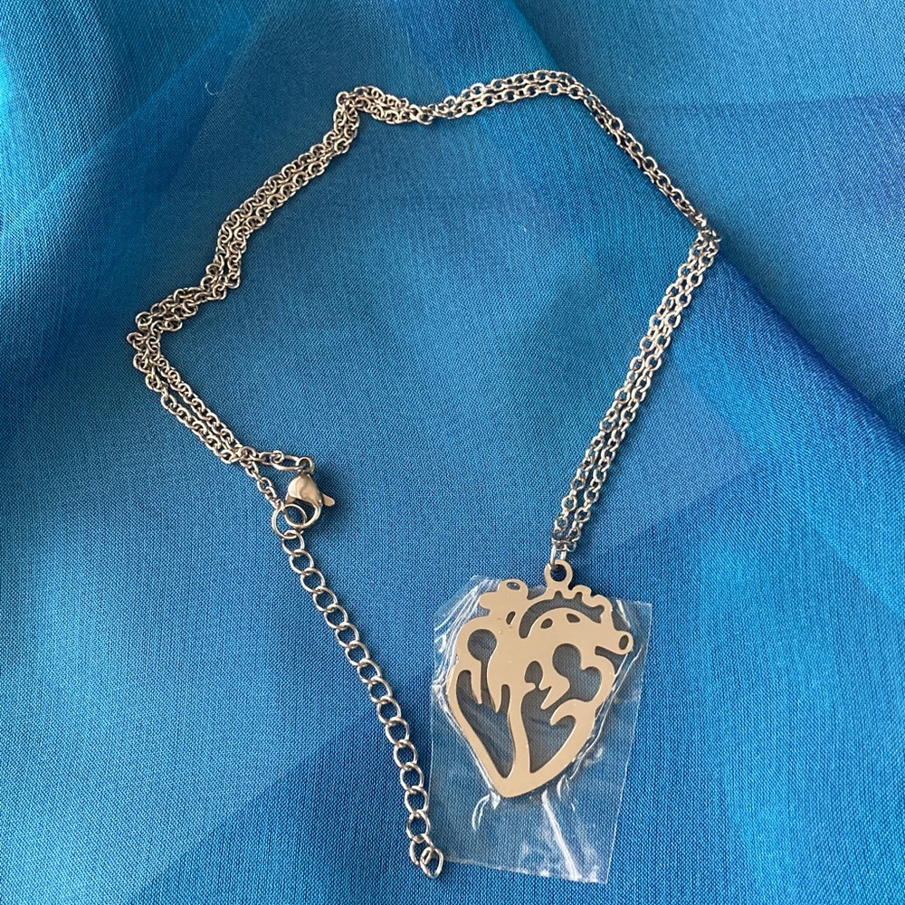 Stainless Steal Anatomy Heart Necklace, Perfect Gift for STEM & Healthcare Folks